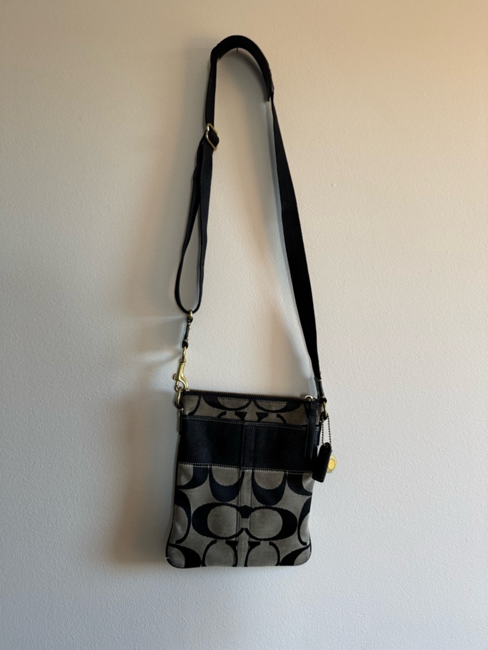 Coach Signature Stripe Swingpack Crossbody